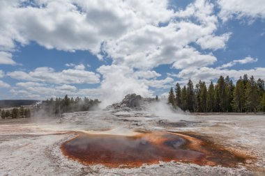 Castle geyser, Upper geyser basin, Yellowstone, Wyoming, USA