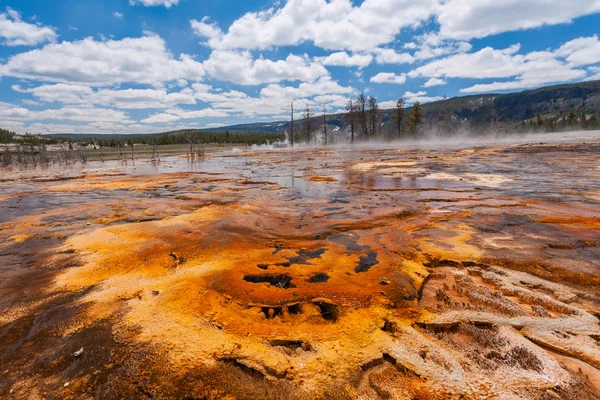 Cuenca de galletas Parque Nacional de Yellowstone, Wyoming, Estados Unidos — Foto de Stock