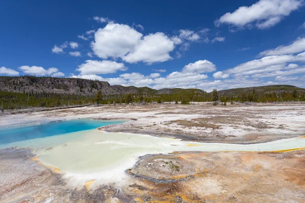 Cuenca de galletas Parque Nacional de Yellowstone, Wyoming, Estados Unidos — Foto de Stock