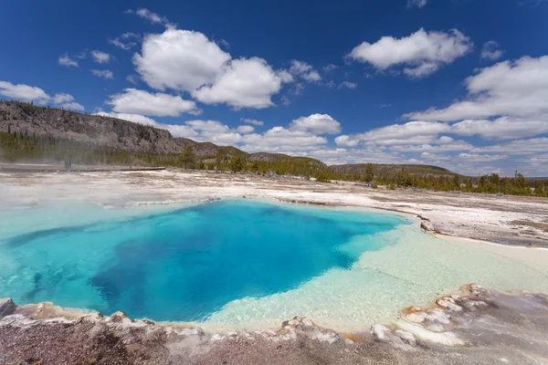 Biscuit basin Yellowstone National Park, Wyoming, États-Unis — Photo