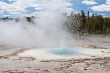 Upper geyser basin, Yellowstone, Wyoming, USA