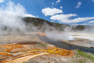 Yellowstone Ulusal Parkı, Wyoming, ABD