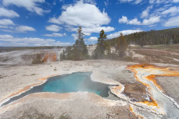 Blue Star Spring, Upper geyser basin, Yellowstone, Wyoming, USA — Stock Photo, Image