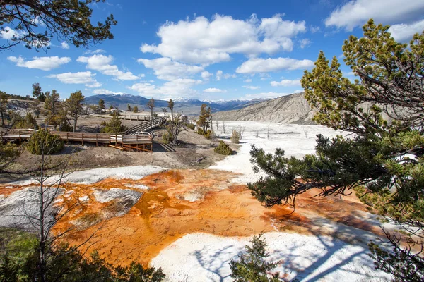 Mammoth Hot Springs, Yellowstone, Wyoming, Estados Unidos — Foto de Stock