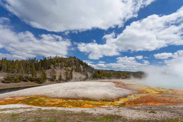 Yellowstone Nemzeti Parkban, Wyoming, Amerikai Egyesült Államok — Stock Fotó