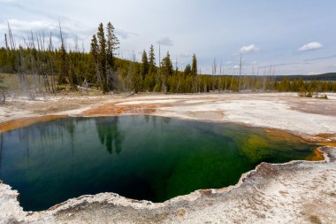 Batı başparmak, Yellowstone, Wyoming, ABD