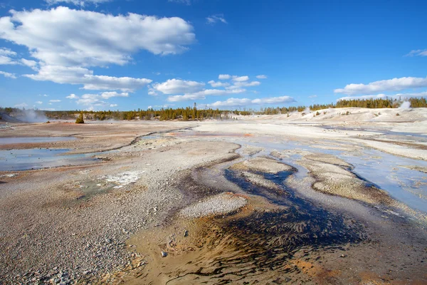 Norris Geyser Basin, Yellowstone National Park, Wyoming, USA — Stock Photo, Image