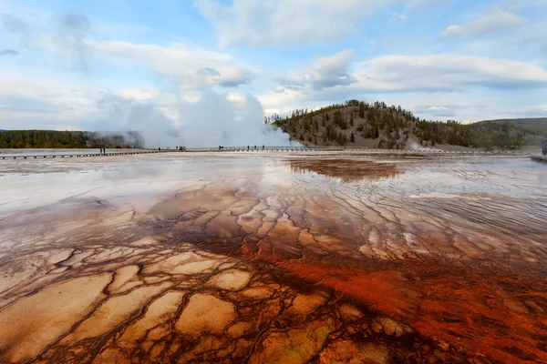 Sunset Grand Prismatic basin, Yellowstone — Stock Photo, Image