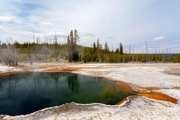 West Thumb, Yellowstone, Wyoming, Estados Unidos — Foto de Stock