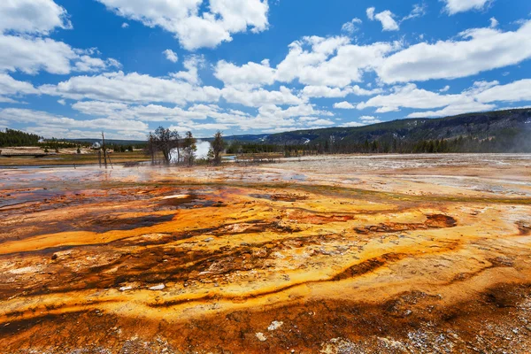 Cuenca de galletas Parque Nacional de Yellowstone, Wyoming, Estados Unidos — Foto de Stock