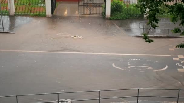 Regenguss Der Stadt Wasser Überflutete Die Fahrbahn Draufsicht — Stockvideo