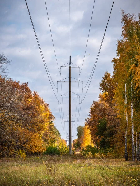 Paisagem Outono Uma Linha Transmissão Atravessa Floresta Outono Começo Queda — Fotografia de Stock