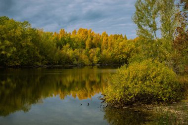Sonbahar manzarası, orman gölü. Ağaçlarla kaplanmış kıyıları ve sarı sonbahar yaprakları ile birlikte göle yansıyan gökyüzü ve bulutlar.