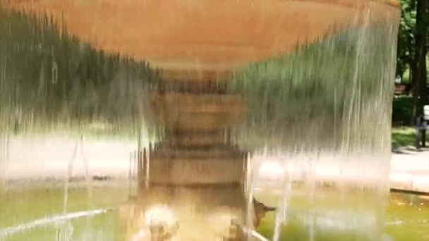 Una Piccola Fontana Con Acqua Nel Parco Estivo Luogo Riposo — Video Stock