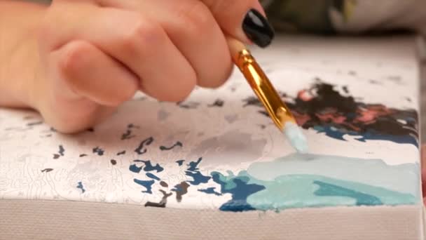 Fille Jeune Femme Peint Peinture Sur Toile Avec Des Chiffres — Video