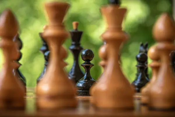 Satranç Tahtasındaki Satranç Taşları Siyah Bir Piyona Odaklanır — Stok fotoğraf