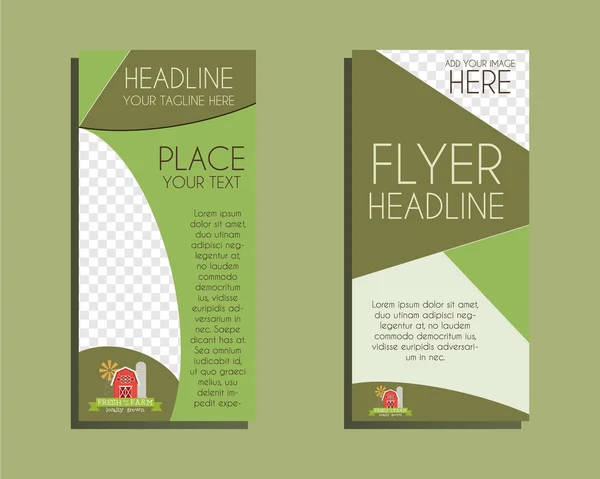 Organic Brochure Flyer design Layout template. Triangle abstract style. Ecology farm design. Isolated on green background. Vector — Wektor stockowy