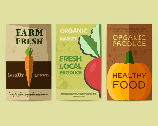 Set of Stylish Farm Fresh flyer, template or brochure design with carrot and radish. Mock up design. Vintage colors. Best for natural shop, organic fairs, eco markets and local companies. Vector — Vetor de Stock