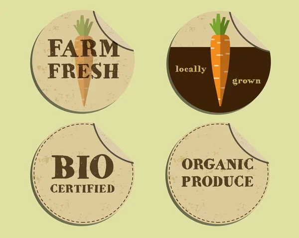 Stylish Farm Fresh label and sticker template with carrot. Mock up design. Retro colors. Best for natural shop, organic fairs, eco markets and local companies. Vector — Archivo Imágenes Vectoriales