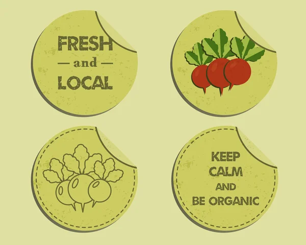 Summer Farm Fresh branding identity elements. Label, badge templates. Organic design. Mock up. Best for natural shop, organic fairs, eco markets and local companies. Vector —  Vetores de Stock
