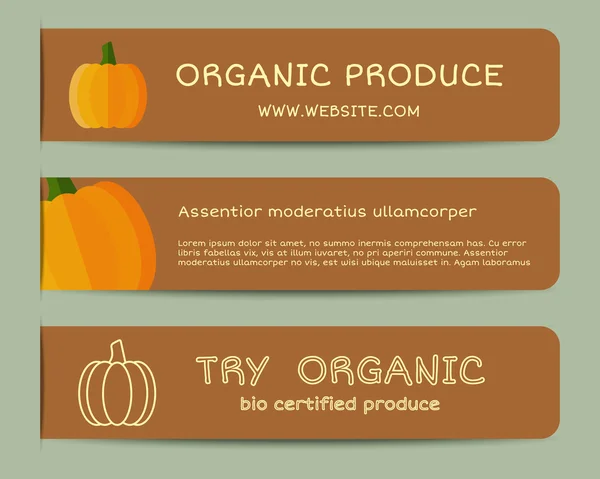 Summerm autumn Farm Fresh branding identity elements. Pumpkin banners templates. Organic, bio design. Mock up. Best for natural shop, organic fairs, eco markets and local companies. Vector — Stok Vektör
