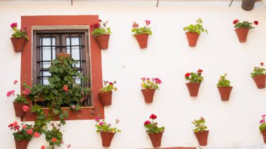 Beyaz bir duvarda kırmızı çerçeveli balkon ve saksılar.