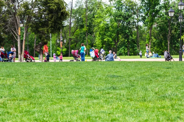 Blauer Hintergrund von Menschen, die sich im Park ausruhen — Stockfoto