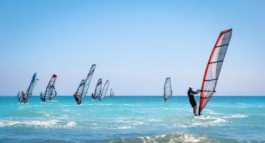 Windsurfing sails on the blue sea clipart