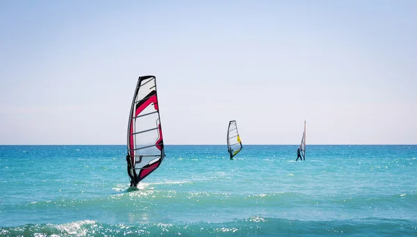 Velas de windsurf en el mar azul — Foto de Stock