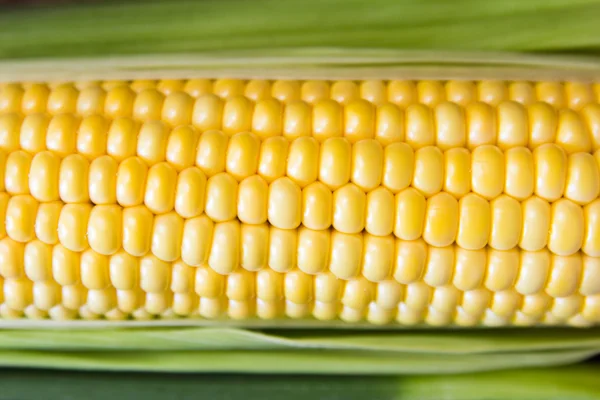 Mogna majskorn på COB och gröna blad. Närbild — Stockfoto