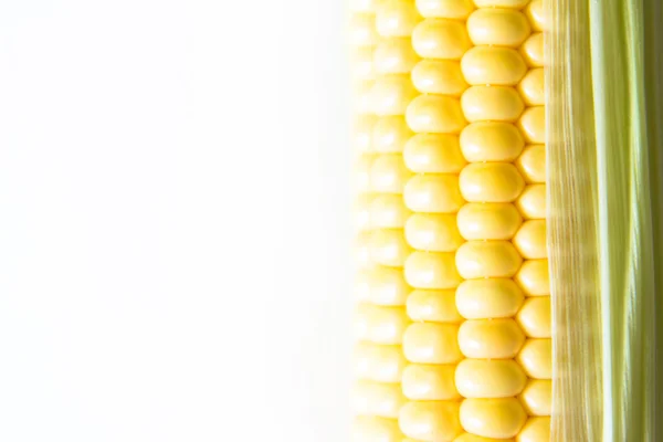 Granos maduros de maíz en mazorca. Fondo blanco. Primer plano macro aislado —  Fotos de Stock