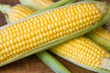 Kahverengi ahşap tahta üzerinde olgun sarı mısır koçan