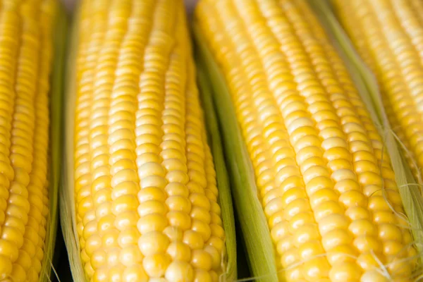 Mogna majskorn på COB och gröna blad. Närbild — Stockfoto