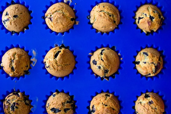 Hausgemachte Blaubeer-Muffins mit Beeren Nahaufnahme in hellblauer Backform — Stockfoto