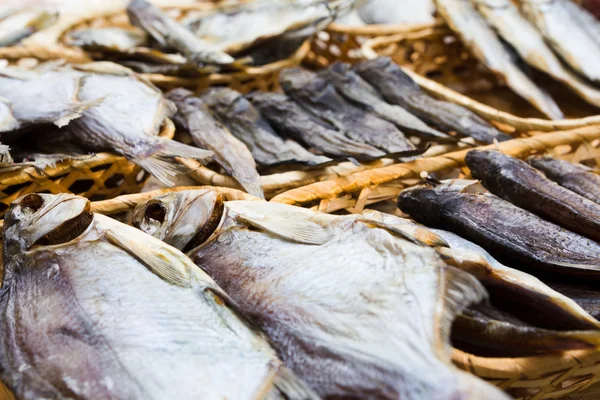 Diversi tipi di pesce essiccato nel negozio di birra fesival — Foto Stock