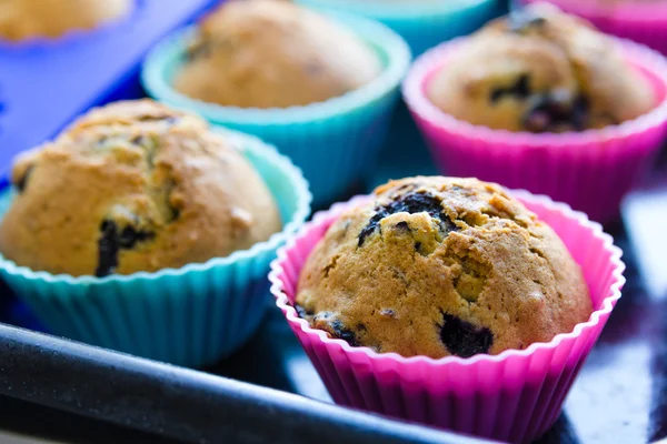 Homemade blueberry muffins with berries closeup in baking cups — Stock Photo, Image