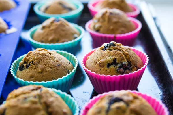 Hausgemachte Blaubeer-Muffins mit Beeren Nahaufnahme in Backformen — Stockfoto