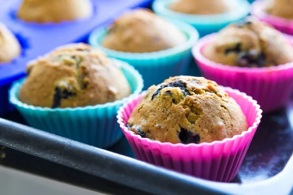 Hausgemachte Blaubeer-Muffins mit Beeren Nahaufnahme in Backformen — Stockfoto