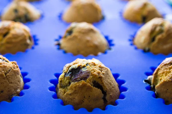 Hausgemachte Blaubeer-Muffins mit Beeren Nahaufnahme in hellblauer Backform — Stockfoto