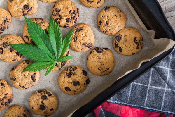 Frisch Gebackene Cannabis Butterkekse Mit Schokoladenchips Auf Einem Backblech Und — Stockfoto
