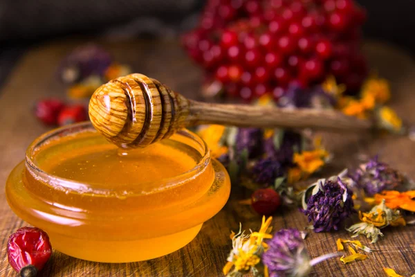 꿀, 식물성, 겨울 딸기 — 스톡 사진