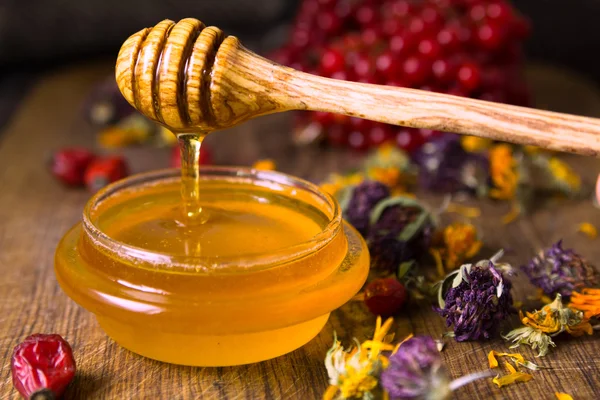 Honey and herbs — Stock Photo, Image