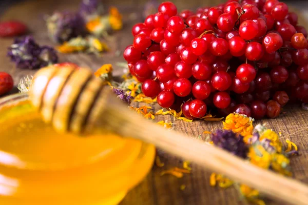 Honey and herbs — Stock Photo, Image