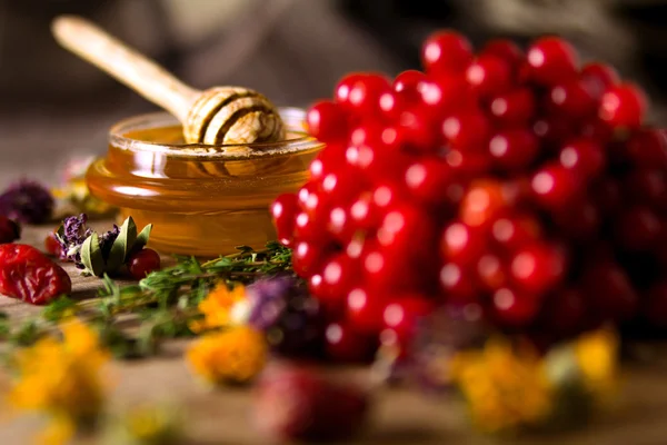 Méz és gyógynövények — Stock Fotó