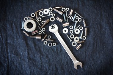 beyin fındık ve araçları