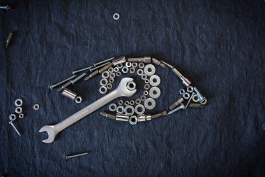 insan gözü fındık ve araçları