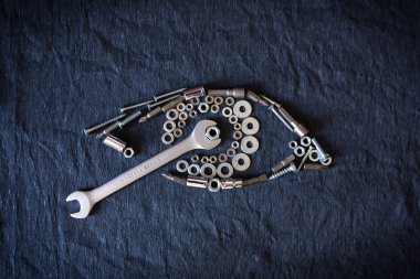 insan gözü fındık ve araçları