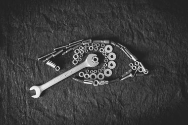 insan gözü fındık ve araçları