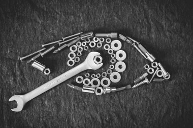 insan gözü fındık ve araçları