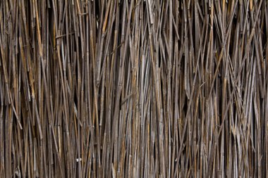kamış arka plan